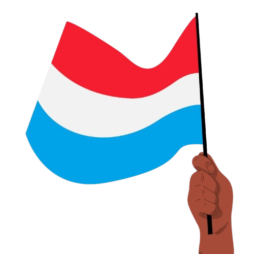 Pièce du Boucher du moment, Sauce Béarnaise